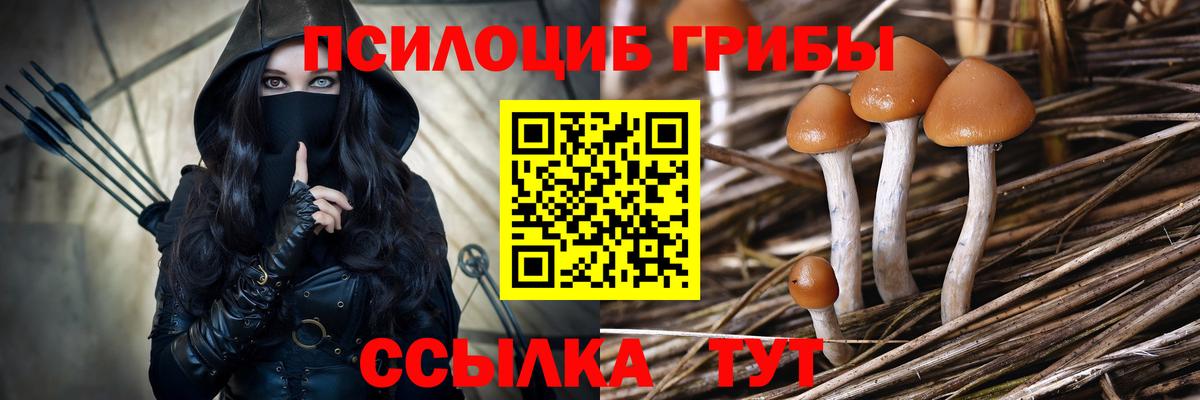 Галлюциногенные грибы Psilocybine cubensis  Вход с VPN  Бугуруслан 